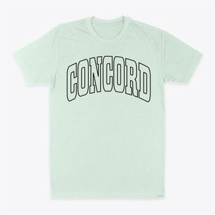 Concord New York Trendy Block Classic Dad T-Shirt