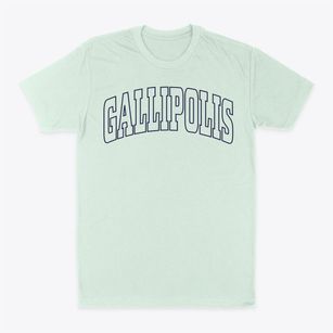 Gallipolis Ohio Trendy Block Classic Dad T-Shirt