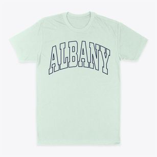 Albany New Hampshire Trendy Block Classic Dad T-Shirt