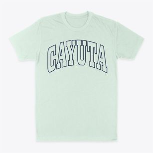Cayuta New York Trendy Block Classic Dad T-Shirt