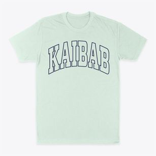 Kaibab Arizona Trendy Block Classic Dad T-Shirt