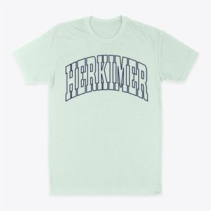 Herkimer New York Trendy Block Classic Dad T-Shirt