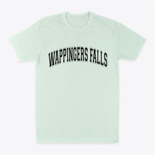 Wappingers Falls New York Varsity Classic Dad T-Shirt