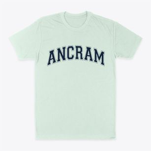 Ancram New York Varsity Classic Dad T-Shirt
