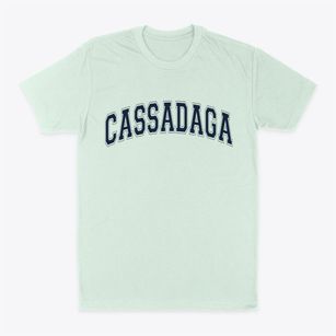 Cassadaga New York Varsity Classic Dad T-Shirt