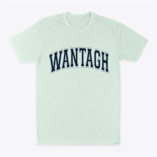 Wantagh New York Varsity Classic Dad T-Shirt