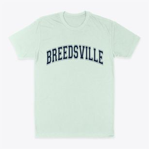 Breedsville Michigan Varsity Classic Dad T-Shirt