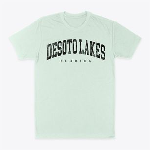 Desoto Lakes Florida Urban Vibe Classic Dad T-Shirt