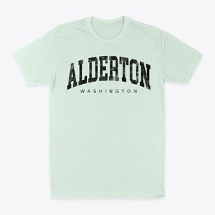 Alderton Washington Urban Vibe Classic Dad T-Shirt
