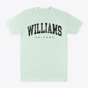 Williams Arizona Urban Vibe Classic Dad T-Shirt