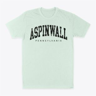 Aspinwall Pennsylvania Urban Vibe Classic Dad T-Shirt
