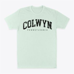 Colwyn Pennsylvania Urban Vibe Classic Dad T-Shirt