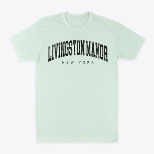 Livingston Manor New York Urban Vibe Classic Dad T-Shirt