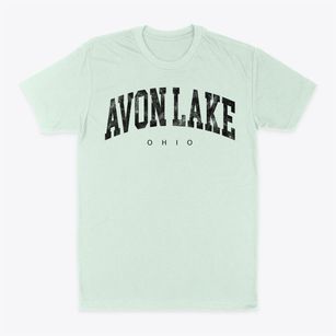 Avon Lake Ohio Urban Vibe Classic Dad T-Shirt