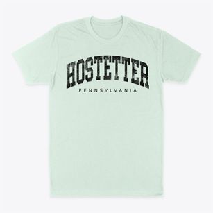 Hostetter Pennsylvania Urban Vibe Classic Dad T-Shirt