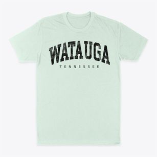 Watauga Tennessee Urban Vibe Classic Dad T-Shirt