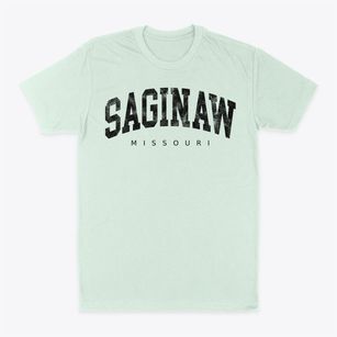 Saginaw Missouri Urban Vibe Classic Dad T-Shirt
