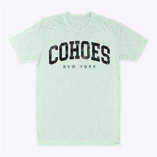 Cohoes New York Urban Vibe Classic Dad T-Shirt