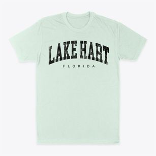Lake Hart Florida Urban Vibe Classic Dad T-Shirt