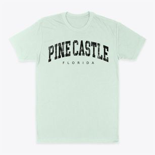 Pine Castle Florida Urban Vibe Classic Dad T-Shirt
