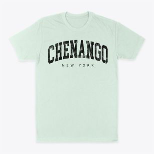 Chenango New York Urban Vibe Classic Dad T-Shirt