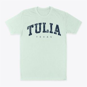 Tulia Texas Urban Vibe Classic Dad T-Shirt