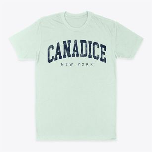 Canadice New York Urban Vibe Classic Dad T-Shirt