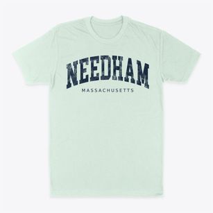 Needham Massachusetts Urban Vibe Classic Dad T-Shirt