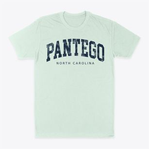Pantego North Carolina Urban Vibe Classic Dad T-Shirt
