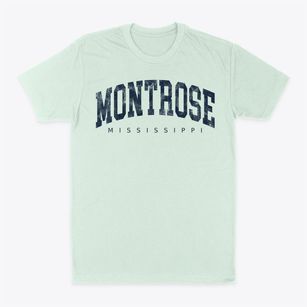 Montrose Mississippi Urban Vibe Classic Dad T-Shirt