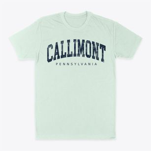 Callimont Pennsylvania Urban Vibe Classic Dad T-Shirt