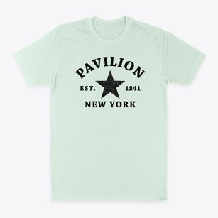 Pavilion New York Star Classic Dad T-Shirt