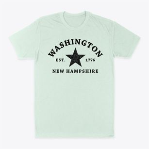 Washington New Hampshire Star Classic Dad T-Shirt