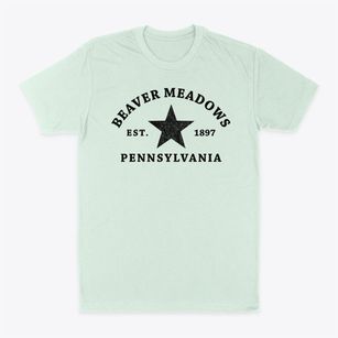 Beaver Meadows Pennsylvania Star Classic Dad T-Shirt