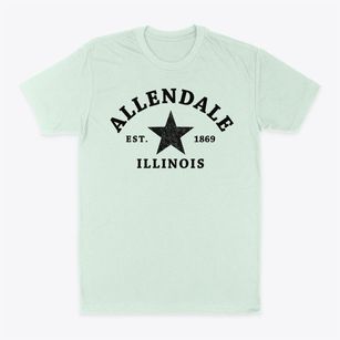 Allendale Illinois Star Classic Dad T-Shirt