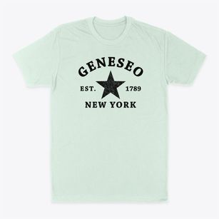 Geneseo New York Star Classic Dad T-Shirt