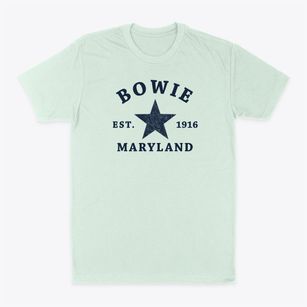 Bowie Maryland Star Classic Dad T-Shirt