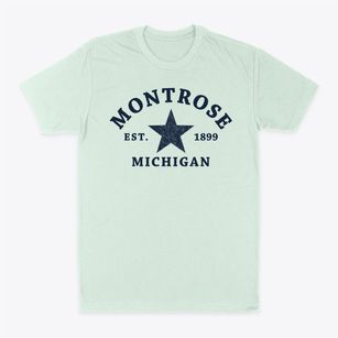 Montrose Michigan Star Classic Dad T-Shirt