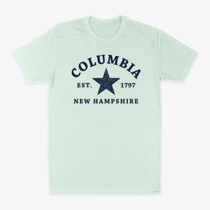 Columbia New Hampshire Star Classic Dad T-Shirt
