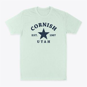 Cornish Utah Star Classic Dad T-Shirt