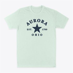 Aurora Ohio Star Classic Dad T-Shirt