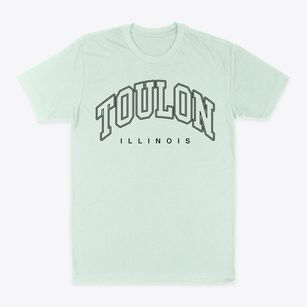 Toulon Illinois Inline Classic Dad T-Shirt