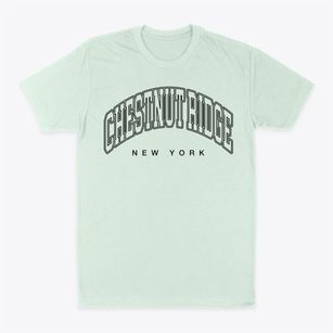 Chestnut Ridge New York Inline Classic Dad T-Shirt