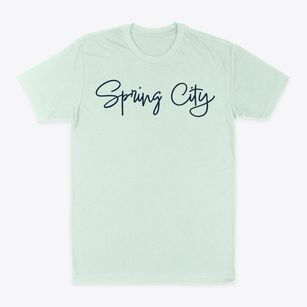 Spring City Pennsylvania Freestyle Classic Dad T-Shirt