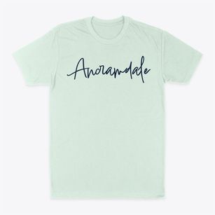 Ancramdale New York Freestyle Classic Dad T-Shirt
