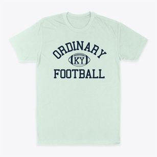 Ordinary Kentucky Football Classic Dad T-Shirt