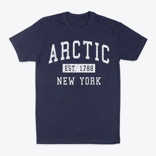 Arctic New York Classic Established Classic Dad T-Shirt