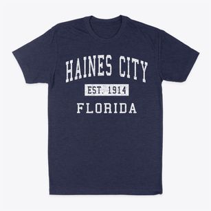Haines City Florida Classic Established Classic Dad T-Shirt