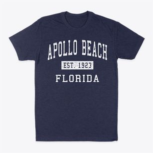 Apollo Beach Florida Classic Established Classic Dad T-Shirt