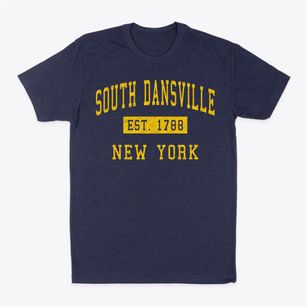 South Dansville New York Classic Established Classic Dad T-Shirt